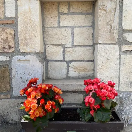 Handra Villa Asfendiou